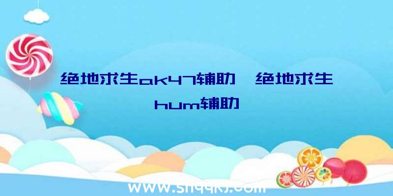 绝地求生ak47辅助、绝地求生hum辅助