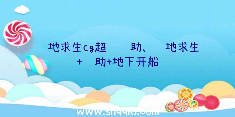 绝地求生cg超级辅助、绝地求生+辅助+地下开船