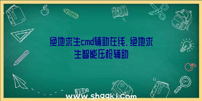 绝地求生cmd辅助在线、绝地求生智能压枪辅助