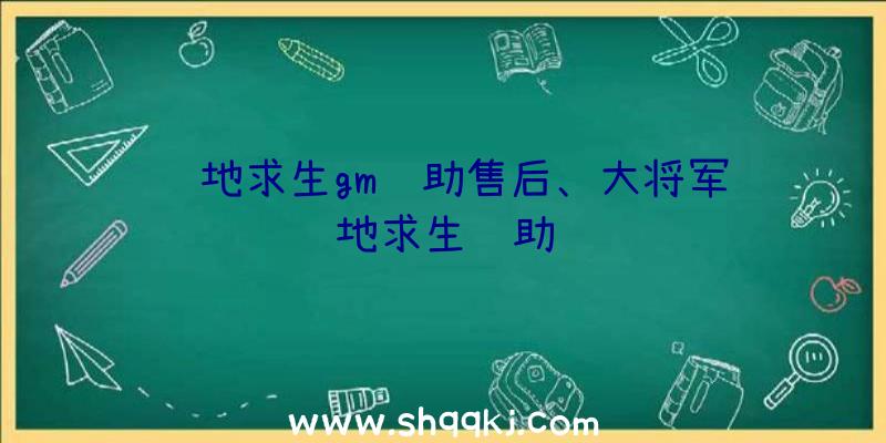 绝地求生gm辅助售后、大将军绝地求生辅助