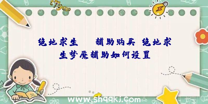 绝地求生gtr辅助购买、绝地求生梦魇辅助如何设置