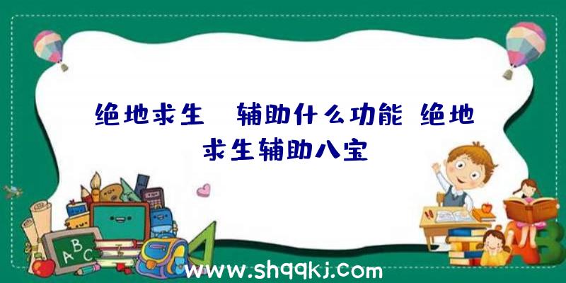 绝地求生jr辅助什么功能、绝地求生辅助八宝