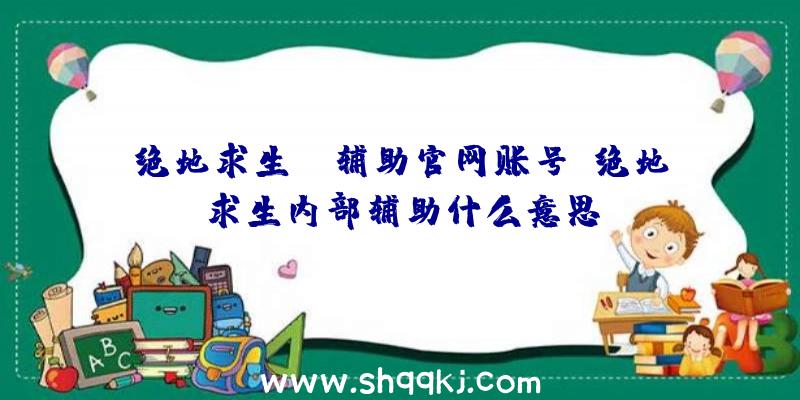 绝地求生jr辅助官网账号、绝地求生内部辅助什么意思