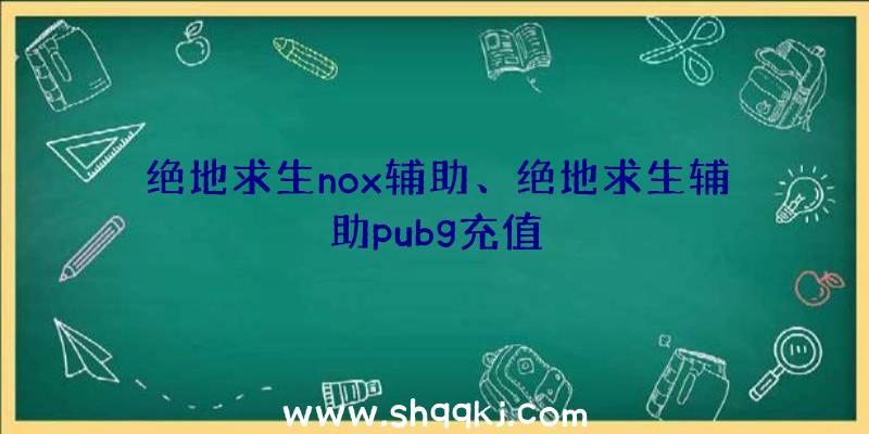 绝地求生nox辅助、绝地求生辅助pubg充值