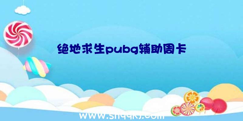 绝地求生pubg辅助周卡