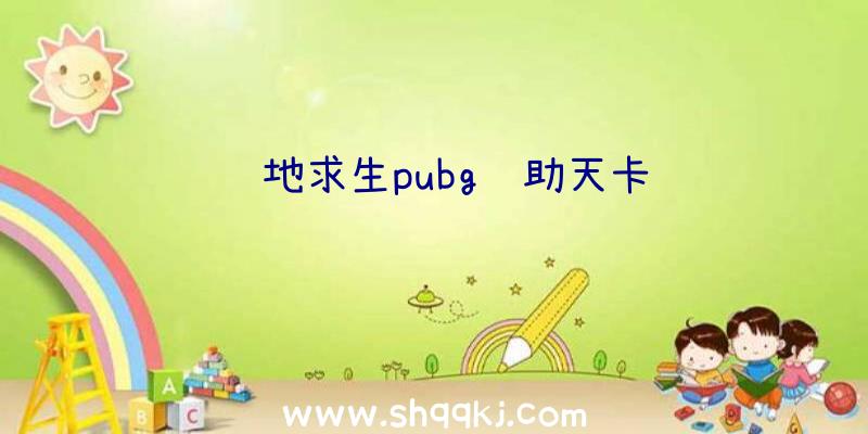 绝地求生pubg辅助天卡