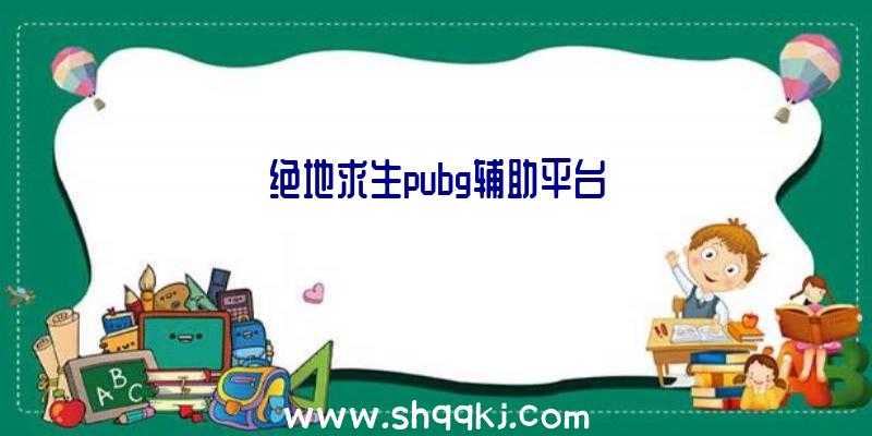 绝地求生pubg辅助平台