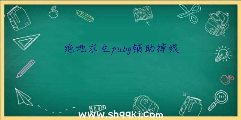 绝地求生pubg辅助掉线