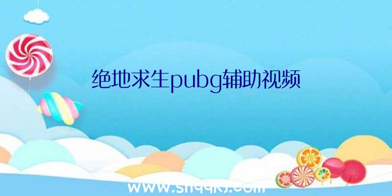 绝地求生pubg辅助视频