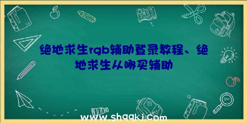 绝地求生rgb辅助登录教程、绝地求生从哪买辅助