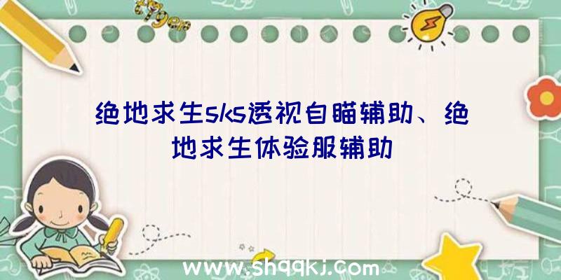 绝地求生sks透视自瞄辅助、绝地求生体验服辅助