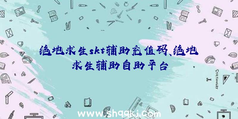 绝地求生skt辅助充值码、绝地求生辅助自助平台