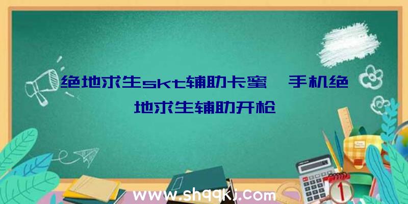 绝地求生skt辅助卡蜜、手机绝地求生辅助开枪