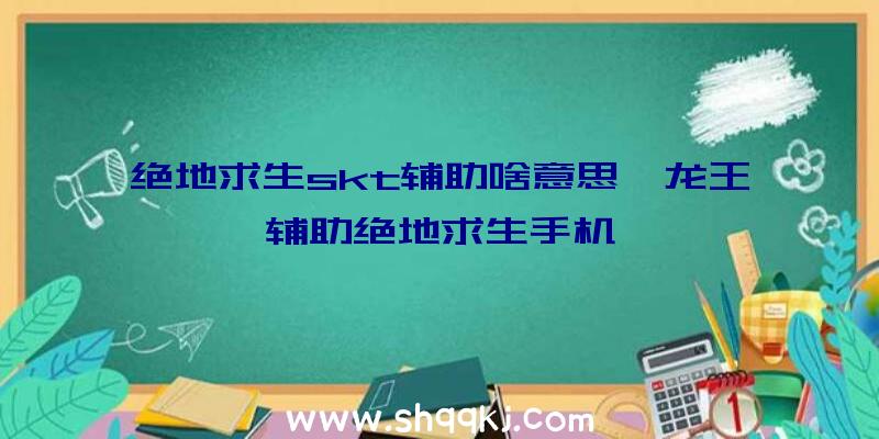 绝地求生skt辅助啥意思、龙王辅助绝地求生手机