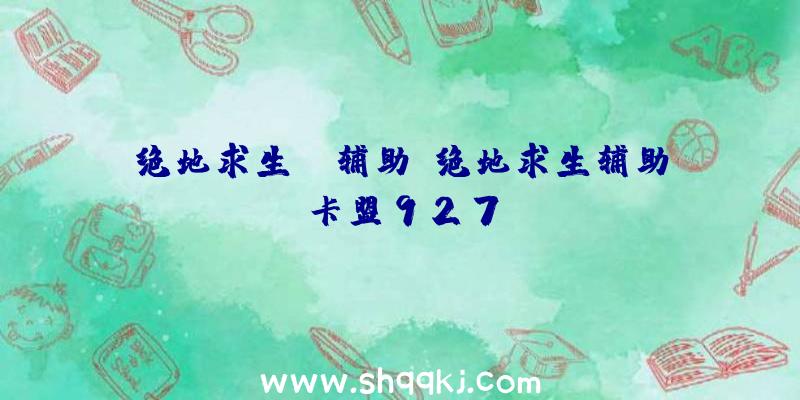 绝地求生sk辅助、绝地求生辅助卡盟927