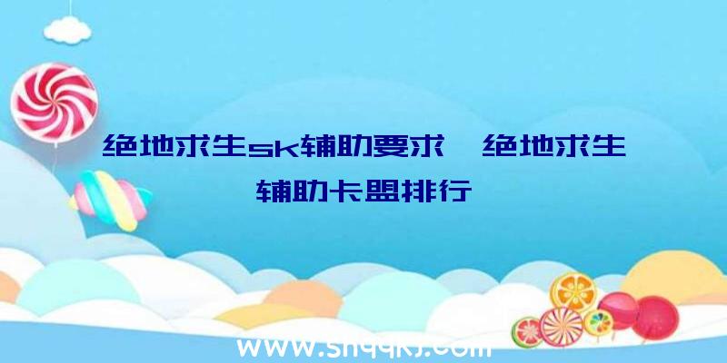 绝地求生sk辅助要求、绝地求生辅助卡盟排行