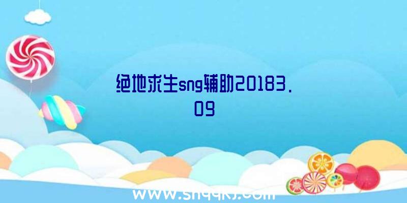 绝地求生sng辅助20183.09