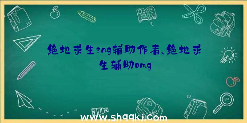 绝地求生sng辅助作者、绝地求生辅助omg