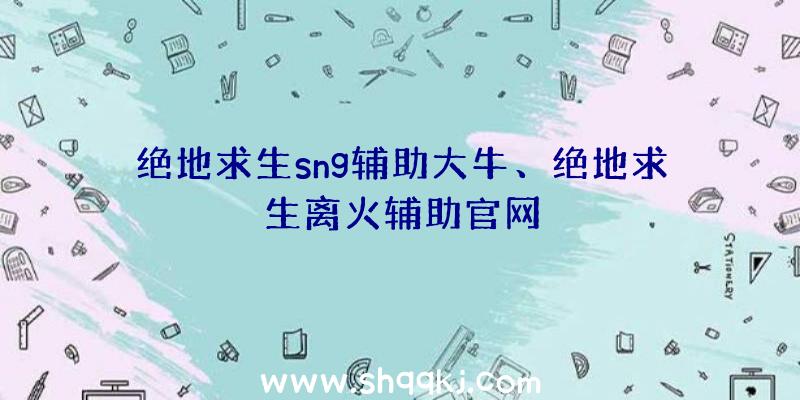 绝地求生sng辅助大牛、绝地求生离火辅助官网