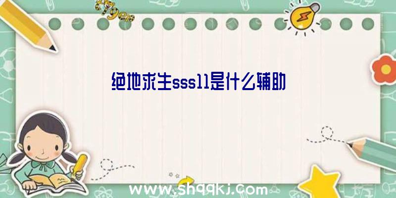 绝地求生sss11是什么辅助