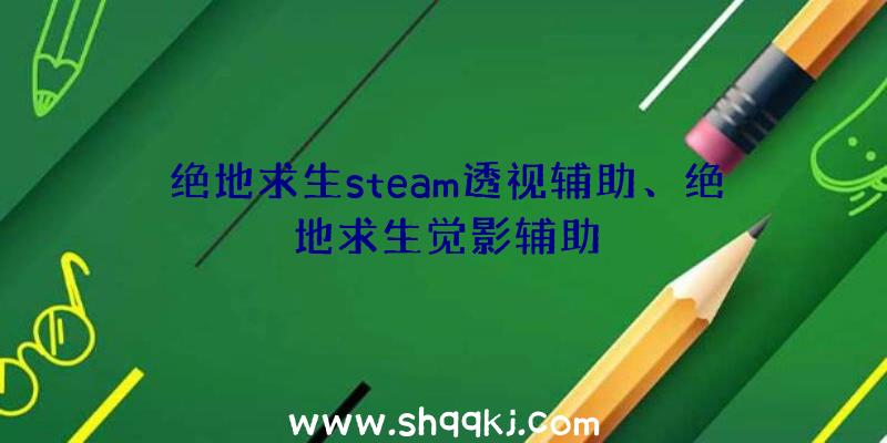 绝地求生steam透视辅助、绝地求生觉影辅助