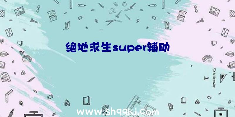 绝地求生super辅助