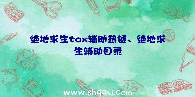 绝地求生tox辅助热键、绝地求生辅助目录