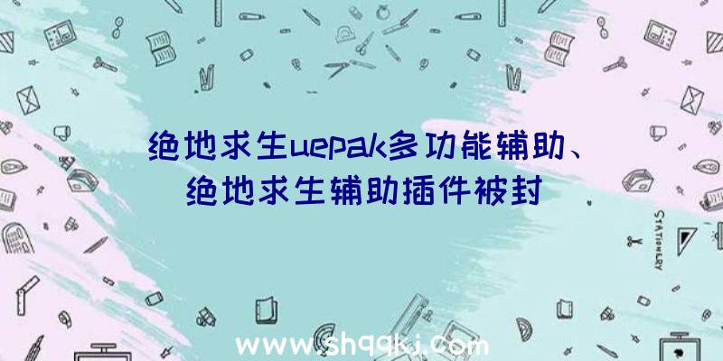 绝地求生uepak多功能辅助、绝地求生辅助插件被封