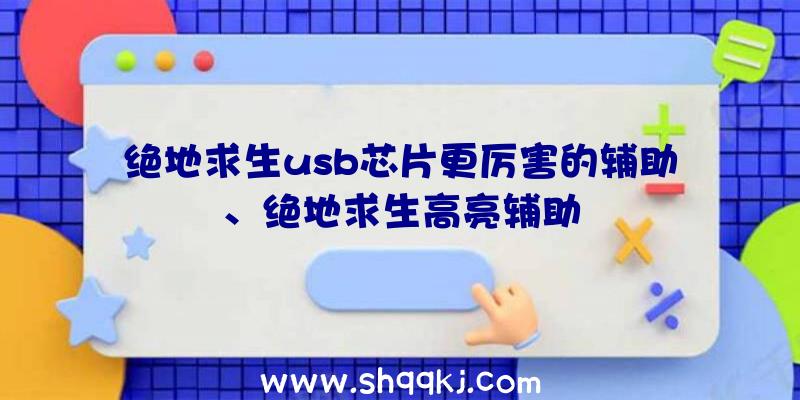 绝地求生usb芯片更厉害的辅助、绝地求生高亮辅助