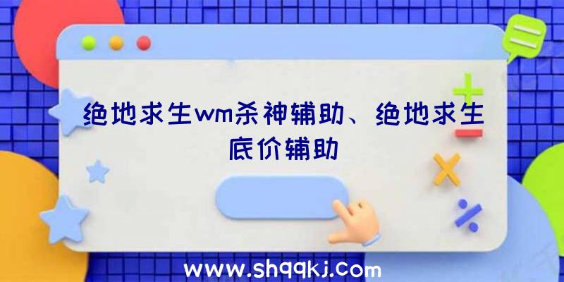 绝地求生wm杀神辅助、绝地求生底价辅助