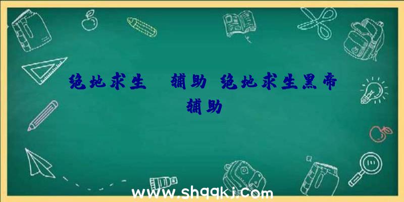 绝地求生wr辅助、绝地求生黑帝辅助