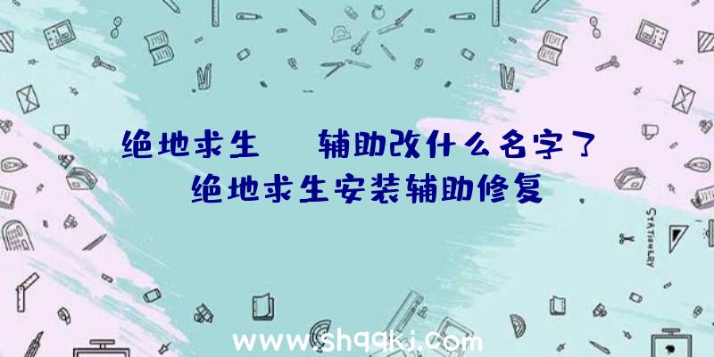 绝地求生xyz辅助改什么名字了、绝地求生安装辅助修复