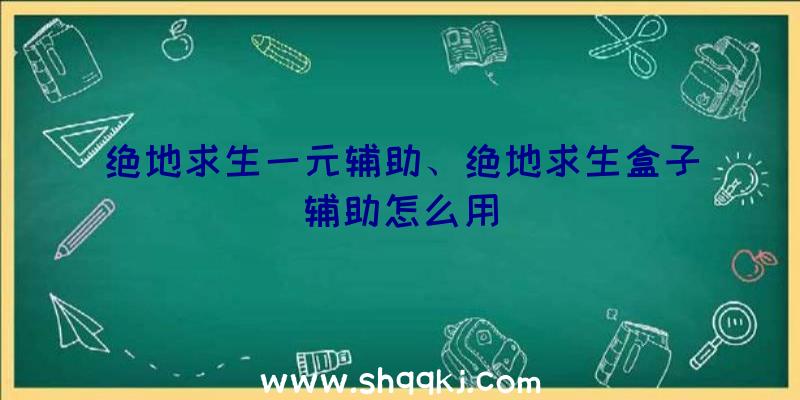 绝地求生一元辅助、绝地求生盒子辅助怎么用