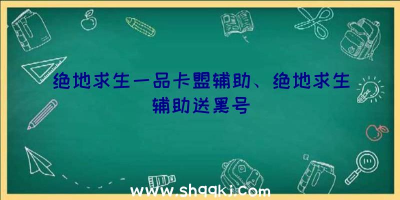 绝地求生一品卡盟辅助、绝地求生辅助送黑号