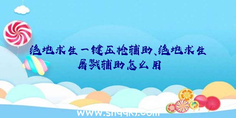 绝地求生一键压枪辅助、绝地求生屠戮辅助怎么用