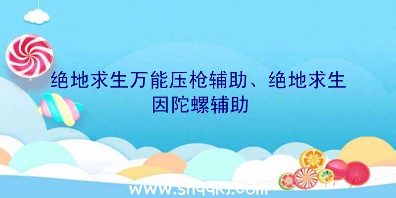 绝地求生万能压枪辅助、绝地求生因陀螺辅助