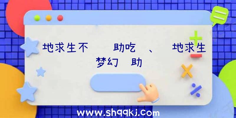 绝地求生不闪辅助吃鸡、绝地求生梦幻辅助