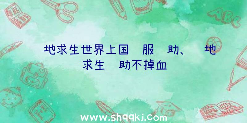 绝地求生世界上国际服辅助、绝地求生辅助不掉血