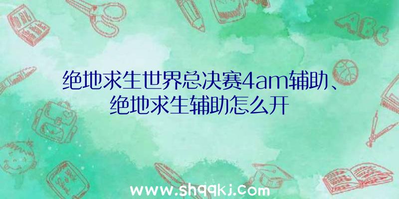 绝地求生世界总决赛4am辅助、绝地求生辅助怎么开