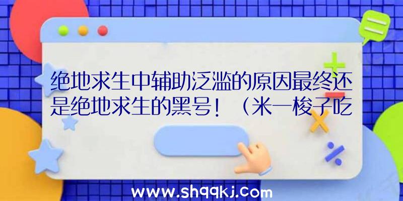 绝地求生中辅助泛滥的原因最终还是绝地求生的黑号！（米一梭子吃鸡压枪速射暴头打死,Q叔沉默很久,憋出两三句,便是）