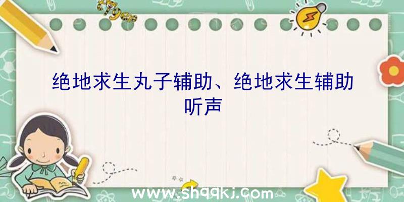 绝地求生丸子辅助、绝地求生辅助听声