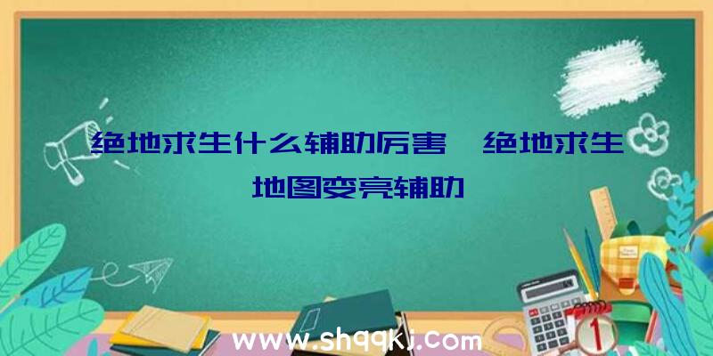 绝地求生什么辅助厉害、绝地求生地图变亮辅助