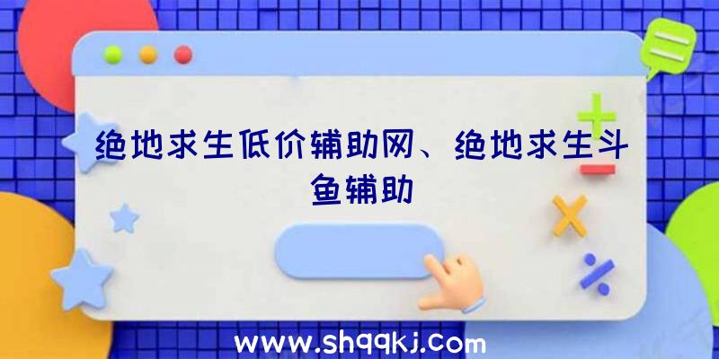 绝地求生低价辅助网、绝地求生斗鱼辅助