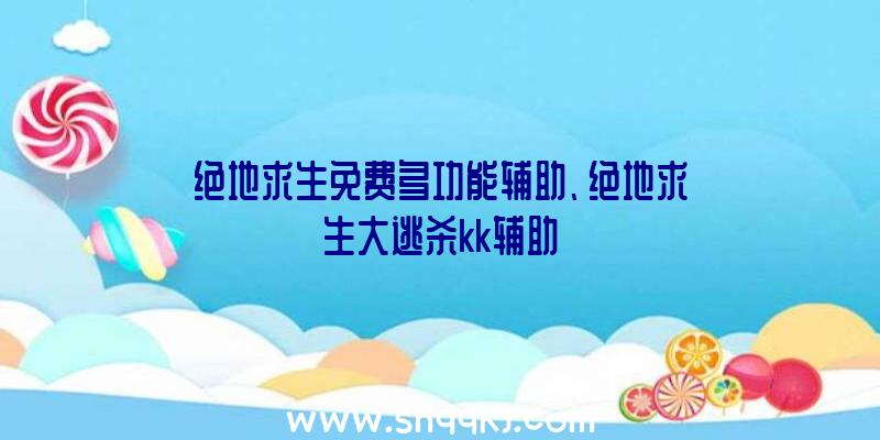 绝地求生免费多功能辅助、绝地求生大逃杀kk辅助