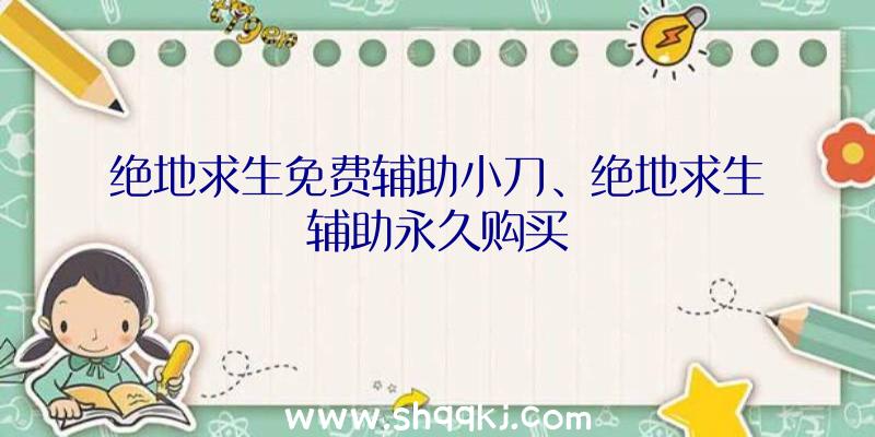 绝地求生免费辅助小刀、绝地求生辅助永久购买