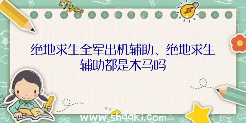 绝地求生全军出机辅助、绝地求生辅助都是木马吗