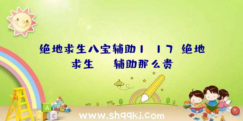 绝地求生八宝辅助1.17、绝地求生SOS辅助那么贵