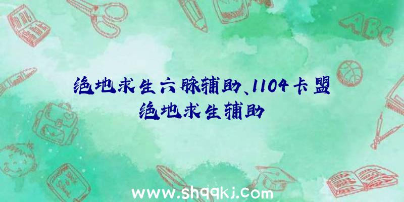 绝地求生六脉辅助、1104卡盟绝地求生辅助