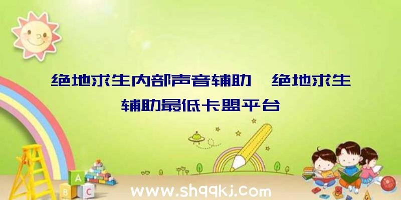 绝地求生内部声音辅助、绝地求生辅助最低卡盟平台