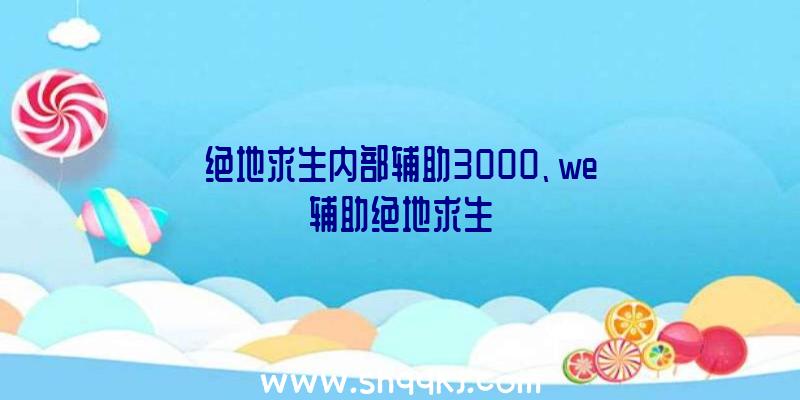 绝地求生内部辅助3000、we辅助绝地求生